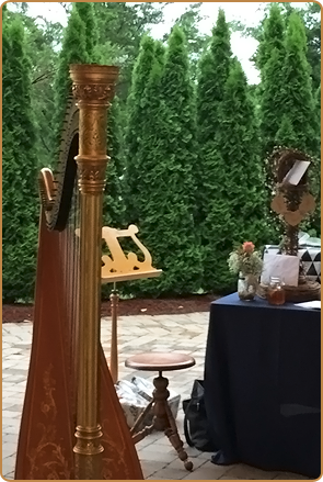 Harp at the Venue